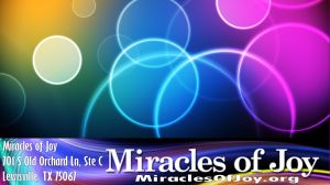 Miracles of Joy